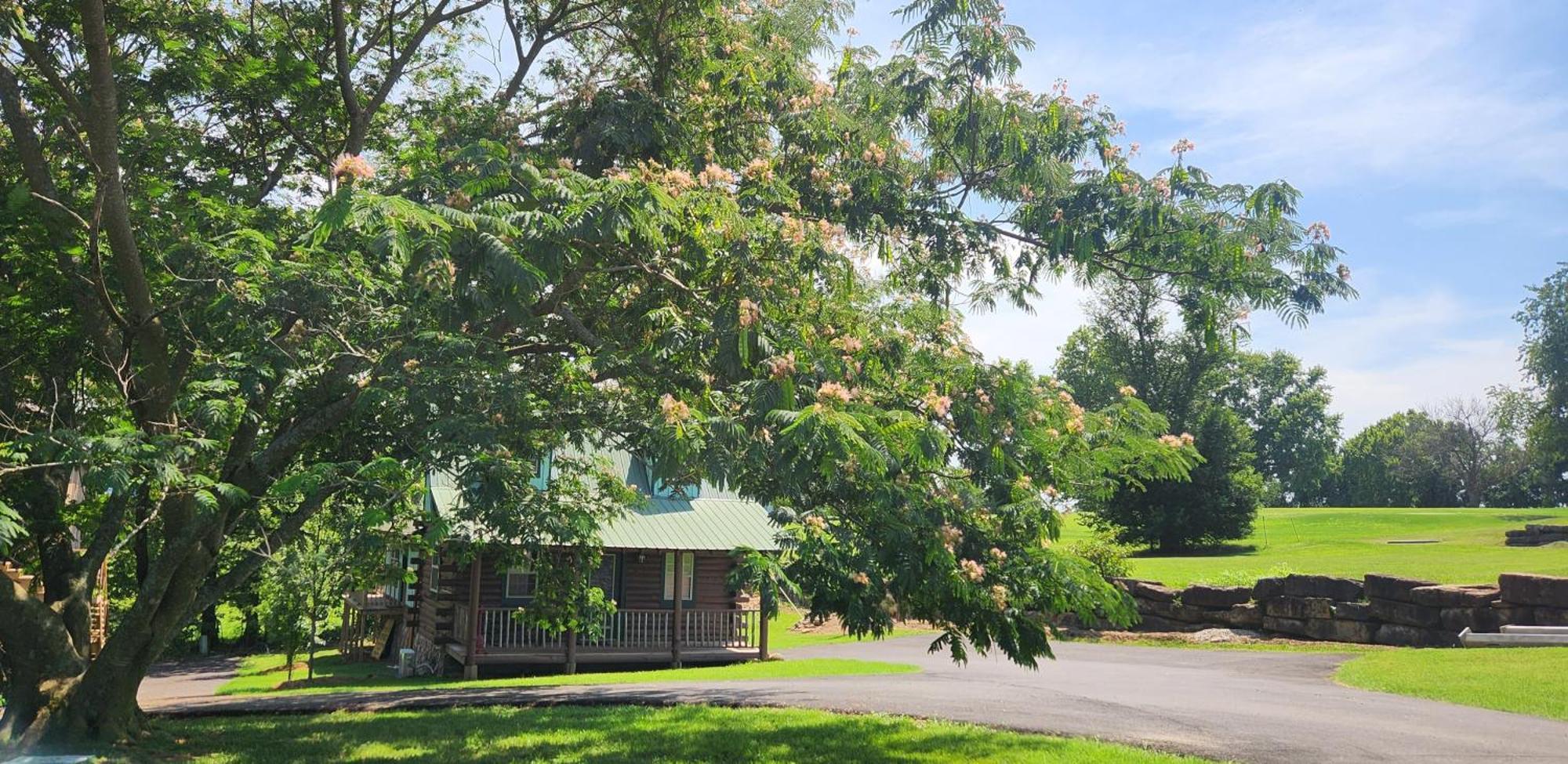 Fairway Inn Berryville Luaran gambar